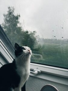 Kusen Aluminium Anti Karat